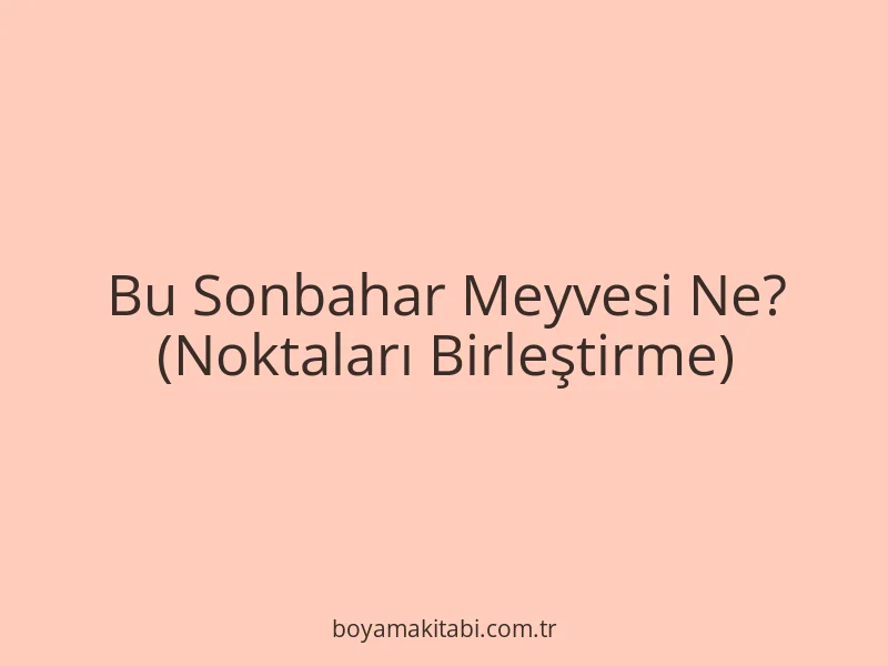 Bu Sonbahar Meyvesi Ne? (Noktaları Birleştirme)