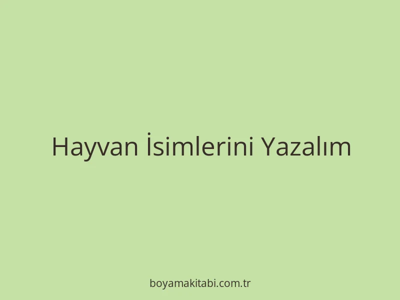 Hayvan İsimlerini Yazalım