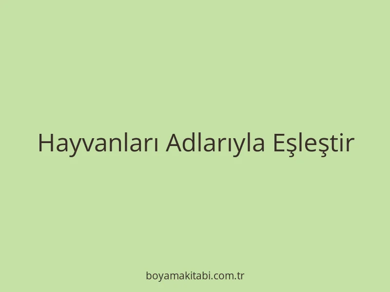 Hayvanları Adlarıyla Eşleştir