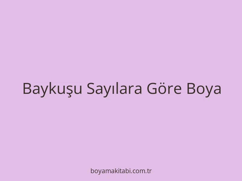 Baykuşu Sayılara Göre Boya