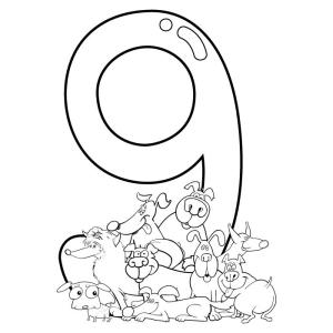 9 Rakamı (Dokuz) boyama sayfası,  coloring page, 9 ve 9 numaralı köpek türleri, 