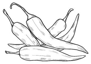 Acı Biber boyama sayfası,  coloring page, Beş Biber, 