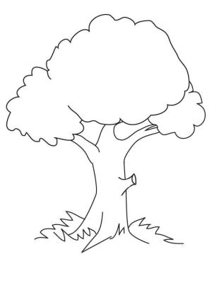 Ağaç boyama sayfası,  coloring page, Normal Ağaç, 