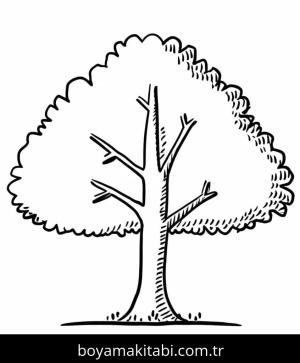 Ağaç boyama sayfası,  coloring page, 