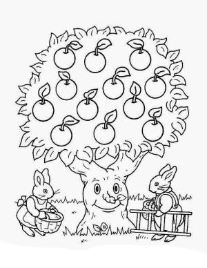 Ağaç boyama sayfası,  coloring page, Elma Ağacı, 