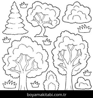 Ağaç Boyama