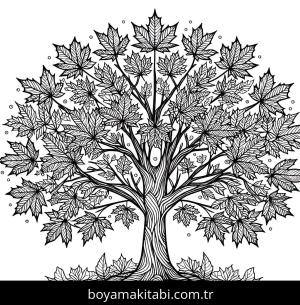 Ağaç boyama sayfası,  coloring page, karikatür, kreatif, oyunlu