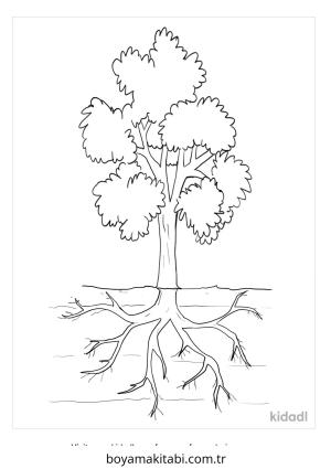 Ağaç boyama sayfası – yaratıcılık, eğlenceli etkinlik