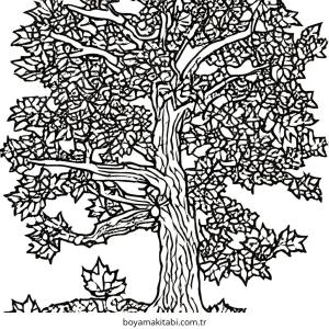 Ağaç boyama sayfası – eğitici aktivite, yaratıcılık