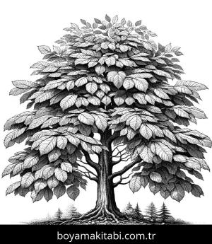 Ağaç boyama sayfası,  coloring page, ince çizgili, renkli, sevimli