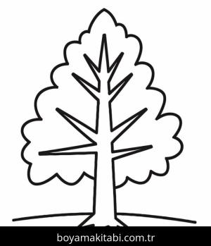 Ağaç boyama sayfası 49016,  coloring page, 