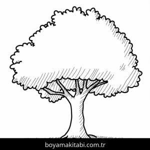 Ağaç Boyama