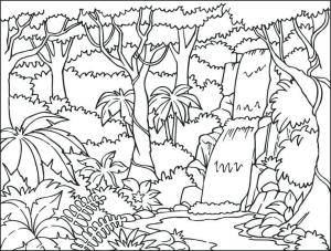 Ağaç boyama sayfası,  coloring page, Yağmur Ormanı Manzarası, 