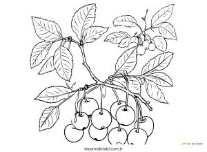 Ağaç boyama sayfası – yaratıcılığı geliştirir, keyifli zaman