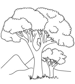 Ağaç boyama sayfası,  coloring page, Iki Ağaç, 