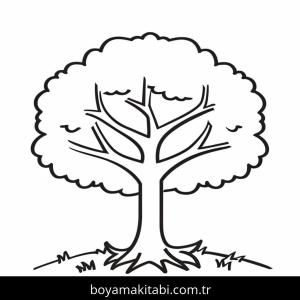 Ağaç boyama sayfası 49015,  coloring page, 
