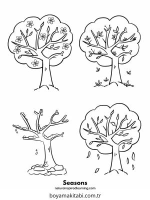 Ağaç boyama sayfası – eğlenceli etkinlik, el becerilerini geliştirir