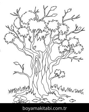 Ağaç Boyama