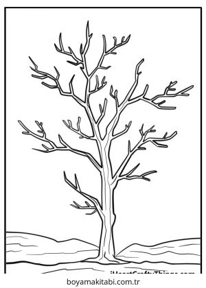 Ağaç boyama sayfası – kolay boyama, eğitici aktivite