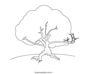 Ağaç boyama sayfası – basit çizim, kolay boyama