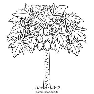Ağaç boyama sayfası – renkli çizimler, okul öncesi