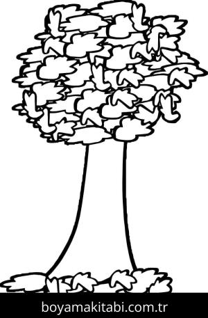 Ağaç boyama sayfası 49023,  coloring page, 