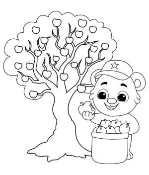 Ağaç boyama sayfası,  coloring page, Ayı Ve Ağaç, 