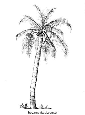 Ağaç boyama sayfası – eğlenceli etkinlik, el becerilerini geliştirir