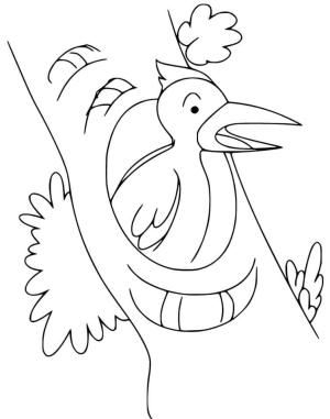 Ağaçkakan boyama sayfası,  coloring page, Bir Ağaçta Marangoz Kuş, 