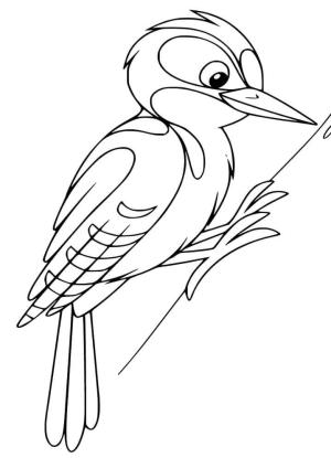 Ağaçkakan boyama sayfası,  coloring page, Mutlu Marangoz Kuş, 