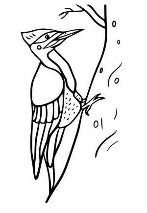 Ağaçkakan boyama sayfası,  coloring page, Ağaçkakanın bir Ağaçta çizimi, 