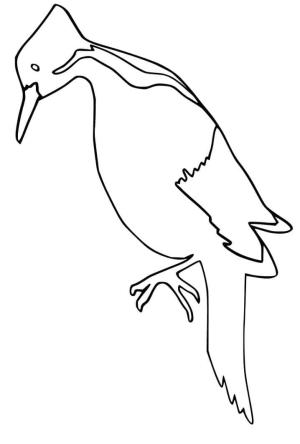 Ağaçkakan boyama sayfası,  coloring page, Ağaçkakan, 