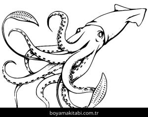 Ahtapot boyama sayfası – sevimli karakter, sanatsal çalışma