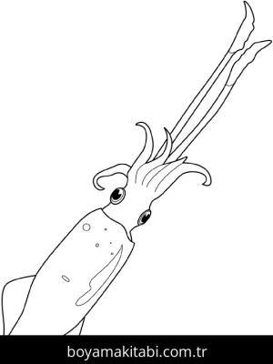 Ahtapot boyama sayfası – eğitici aktivite, yaratıcılık