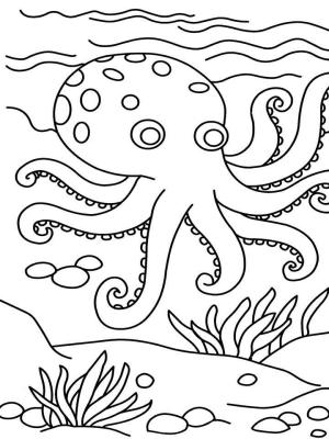 Ahtapot boyama sayfası,  coloring page, Muhteşem Ahtapot, 