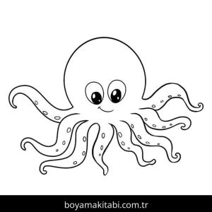 Ahtapot boyama sayfası 49101,  coloring page, 