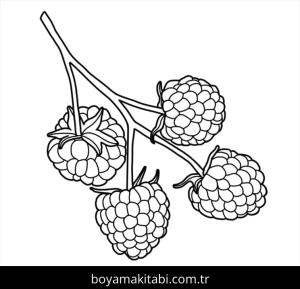 Ahududu boyama sayfası 49117,  coloring page, 