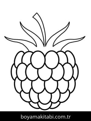 Ahududu boyama sayfası 49120,  coloring page, 