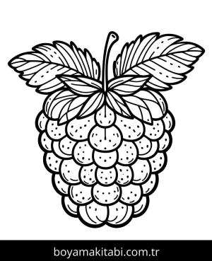 Ahududu boyama sayfası 49105,  coloring page, 