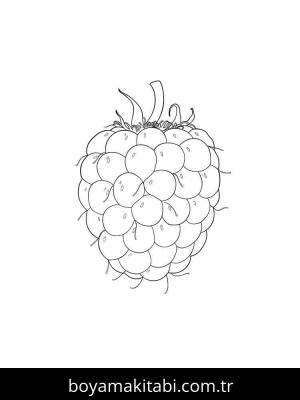 Ahududu boyama sayfası 49102,  coloring page, 