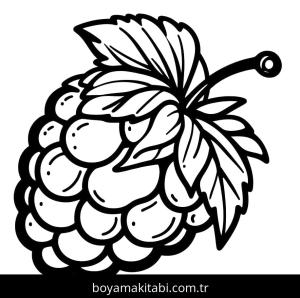 Ahududu boyama sayfası 49108,  coloring page, 
