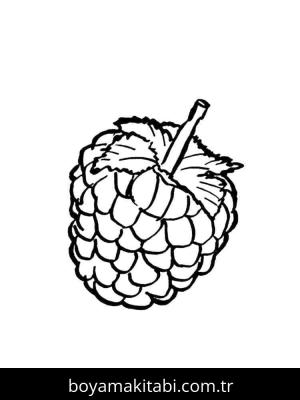 Ahududu boyama sayfası 49109,  coloring page, 