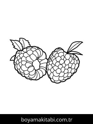 Ahududu boyama sayfası 49104,  coloring page, 