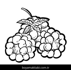 Ahududu boyama sayfası 49128,  coloring page, 