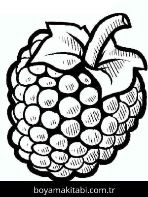 Ahududu boyama sayfası 49119,  coloring page, 