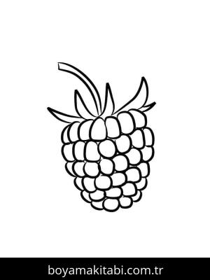 Ahududu boyama sayfası 49113,  coloring page, 