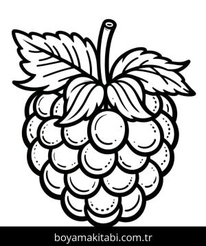 Ahududu boyama sayfası 49110,  coloring page, 