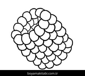 Ahududu boyama sayfası 49122,  coloring page, 