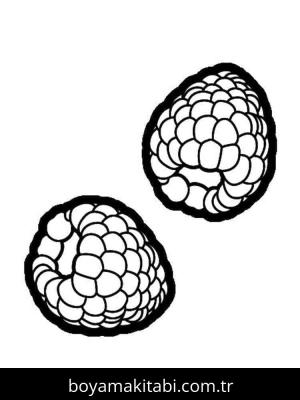 Ahududu boyama sayfası 49107,  coloring page, 