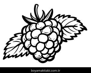 Ahududu boyama sayfası 49106,  coloring page, 